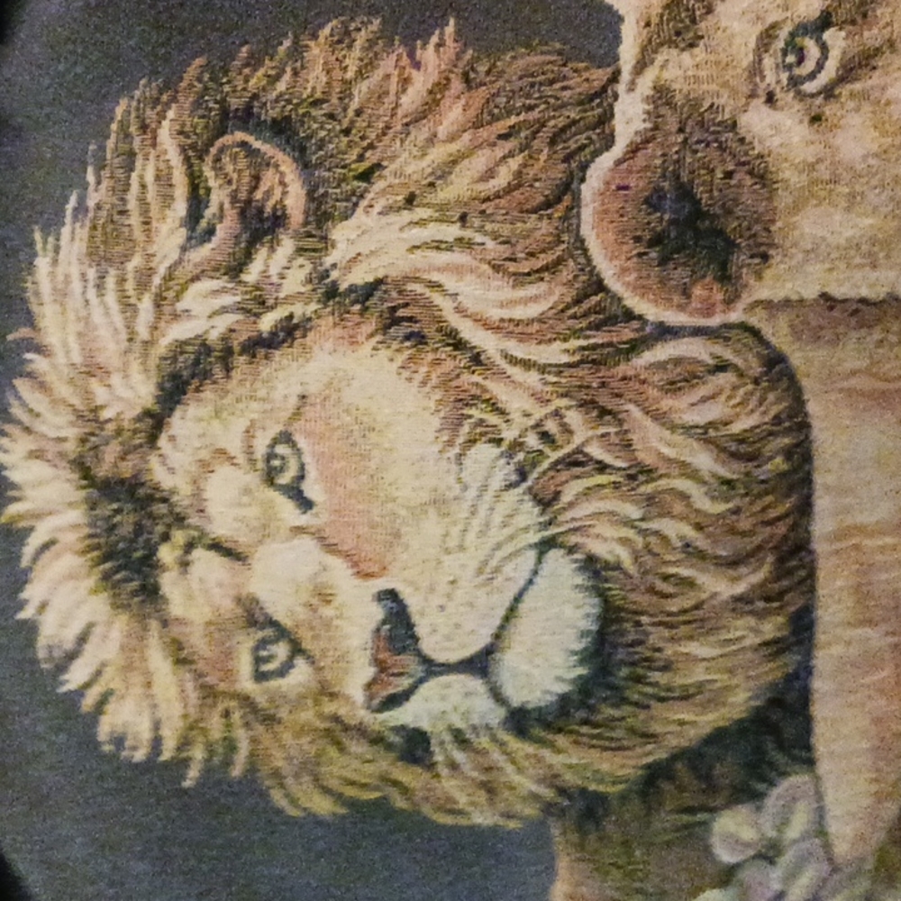 Pillows - Picture 2 of 3